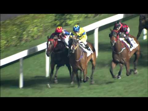 [Champions Mile & Chairman's Sprint Prize 2016] John Size interview