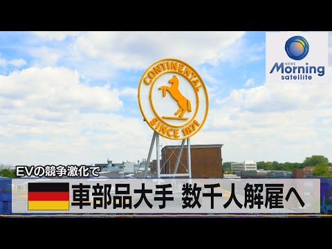 「ドイツのネクストトップモデル」: 新たな競争と不安定なパフォーマンス