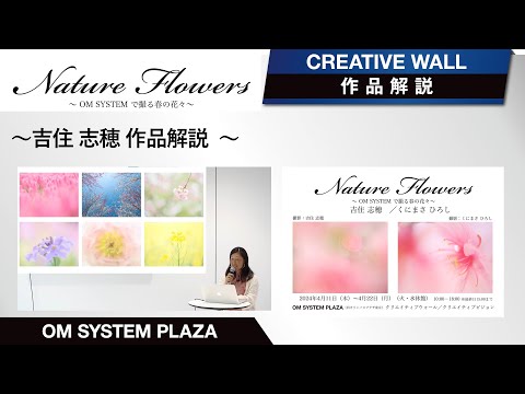 アモロシについて詳しく解説