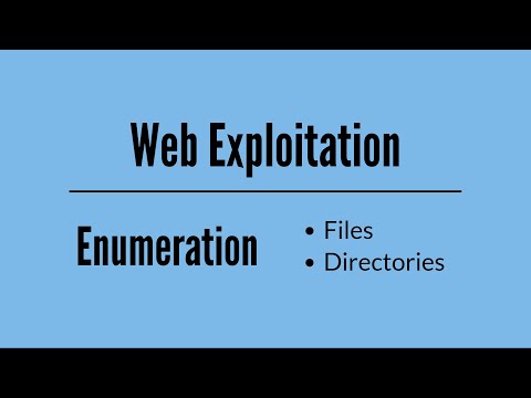 Introduction to Web Exploitation
