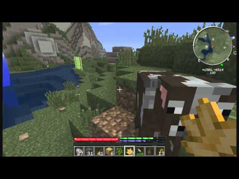 Del on the We Do Stuff TFC Server - S2 Ep 4 "Animal breeding and copper saws!  Yay planks!"