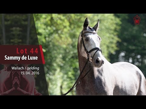 44 Sammy de Luxe Wallach v. Stakkato -  Kolibri