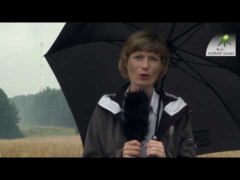 72. Feldexkursion: die ersten Gersten- & Weizenerträge 2017 - NU Agrar, 12.07.2017