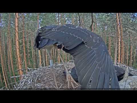 21.07.2021, Teenager-Hormone