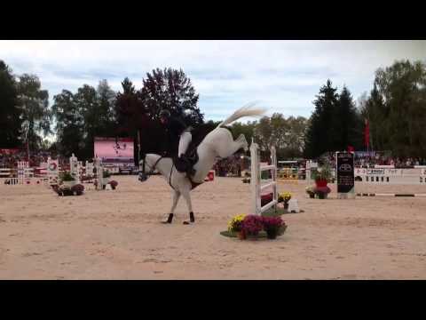 Maxime Livio & Cathar de Gamel Pau Show Jumping 2013