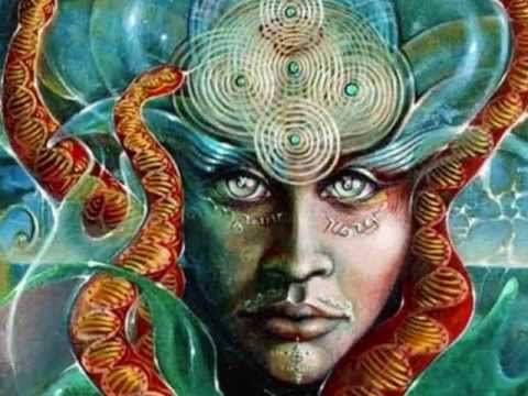 ICAROS. "ICARO SAGRADO V". NORMA PANDURO