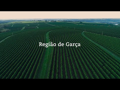 Café do Cerrado Mineiro