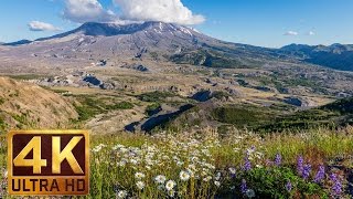Mount St.Helens UHD/4K Relaxation Video for stress relief | Bird Songs and Soothing Nature Sounds