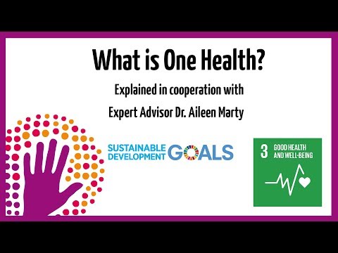 ワンヘルスとは？ (What is One Health?)