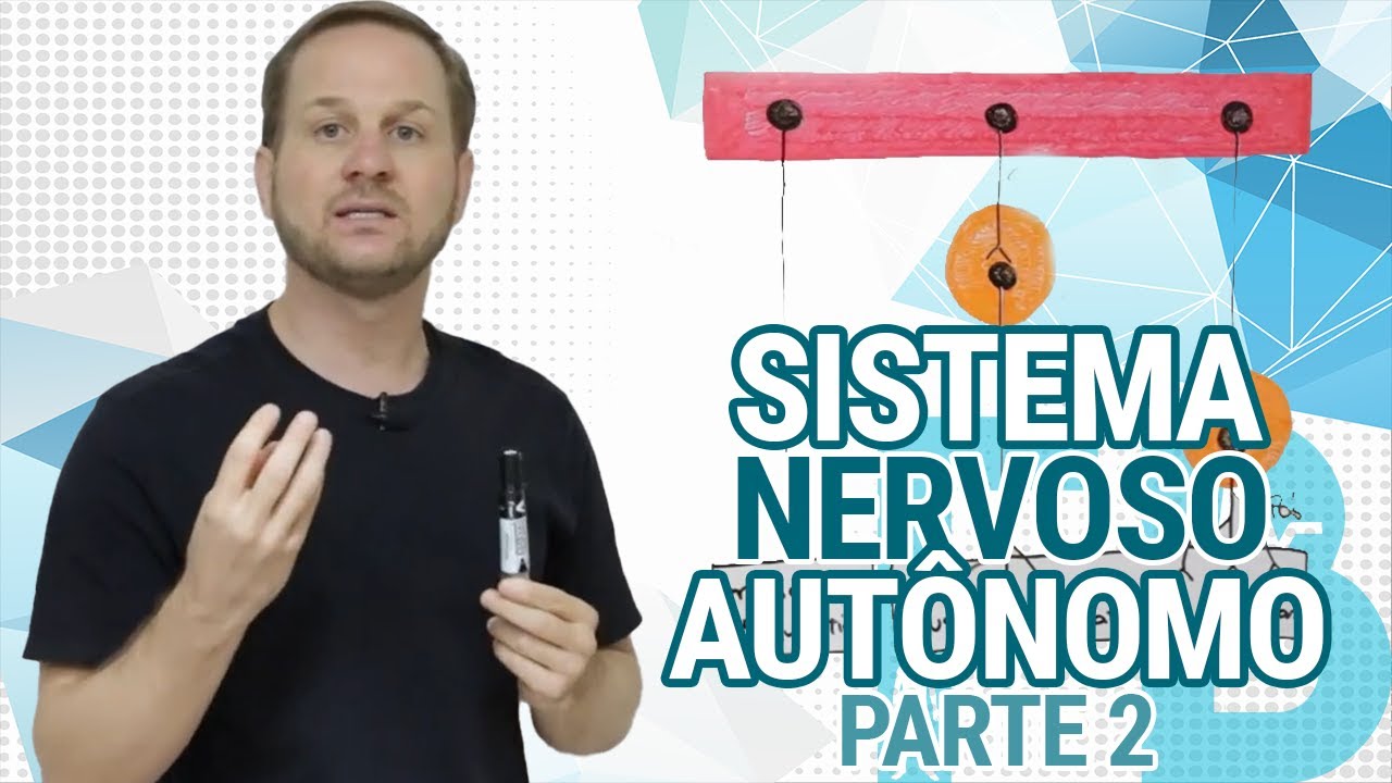 SNA - Sistema Nervoso Autônomo: Parte 2 - Neurônios Pré e Pós Ganglionares