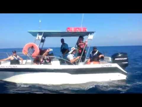 Horkýže Slíže & Barebone - Cyprus 2014