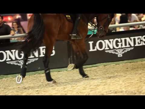 Marco Kutscher at LA Longines Masters