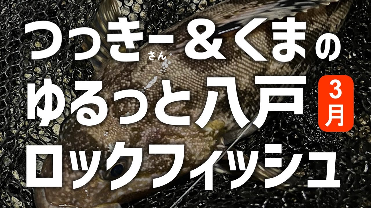 【ロックフィッシュ】春間近の八戸港で意外な魚？水温7℃でも4魚種ヒット！ベテランつっきーさんとのナイトロック攻略