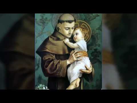 Santo Antônio Terno Amigo - Católica