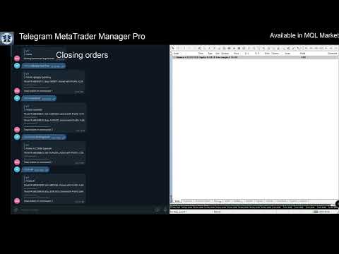 Video Telegram MetaTrader Manager Pro