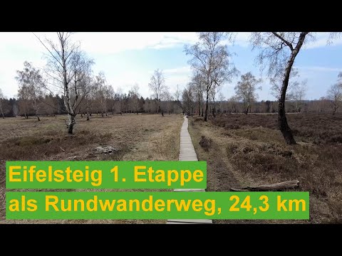 Eifelsteig 1. Etappe als Rundweg, 24,3 km