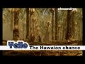 Yello-The Hawaiian chance (HQ)