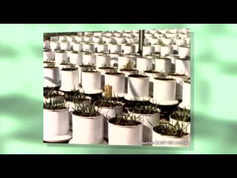 BASF – 100 godina Agro Centra Limburgerhof