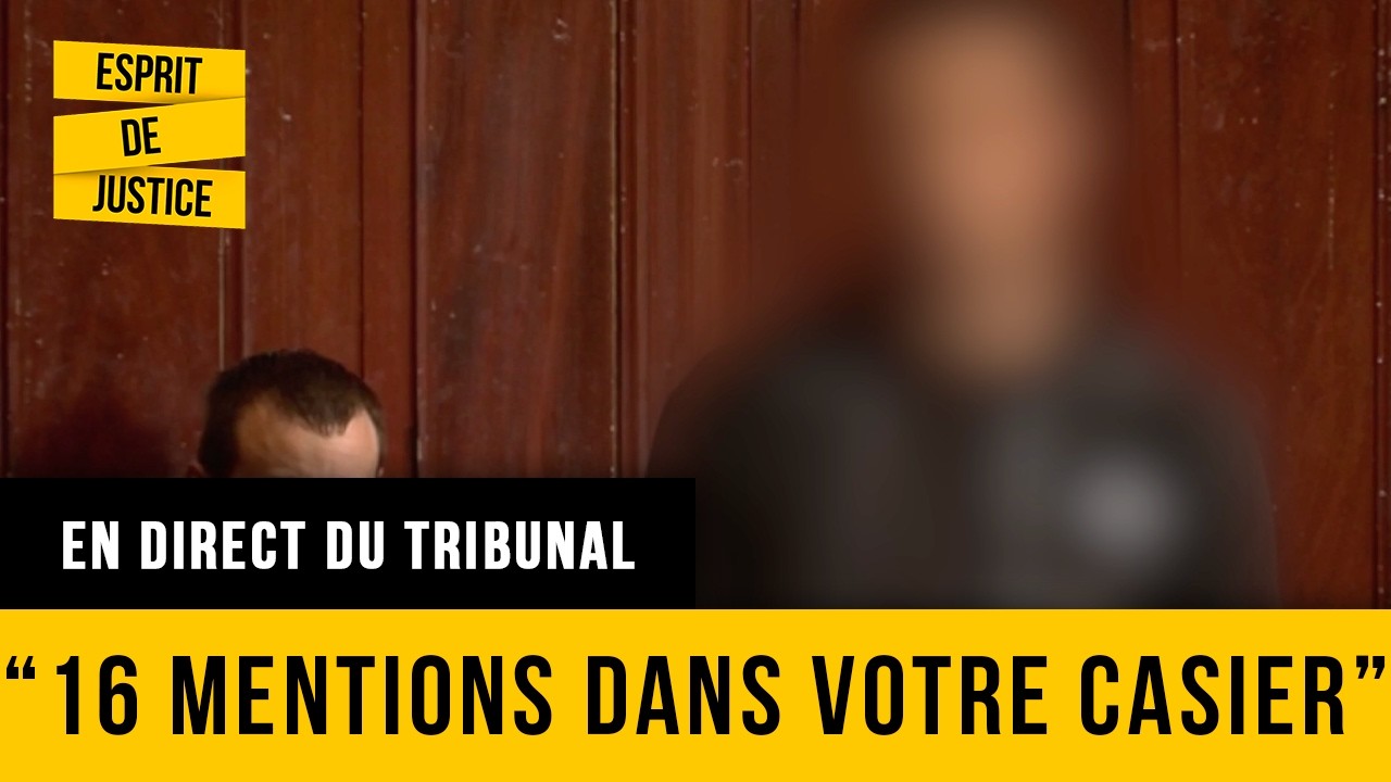 Illustration: Toulouse : quand un récidiviste tente de jouer la carte psychiatrique