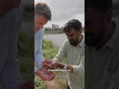 A Foundation That Naturally Rejuvenates Public Lakes