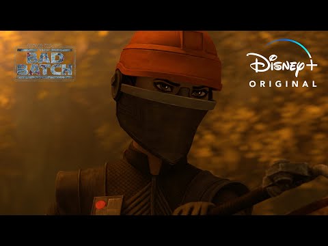 afbeelding Final Season - Water