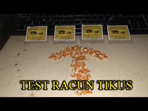 Racun Tikus THEMIX 15G (sangat AMPUH)