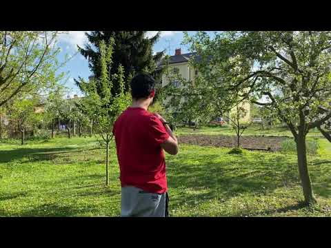 Matýsek 🤎 a Jessynka 🤍 - Kroměříž - West highland white teriér - Jezevčík drsnosrstý