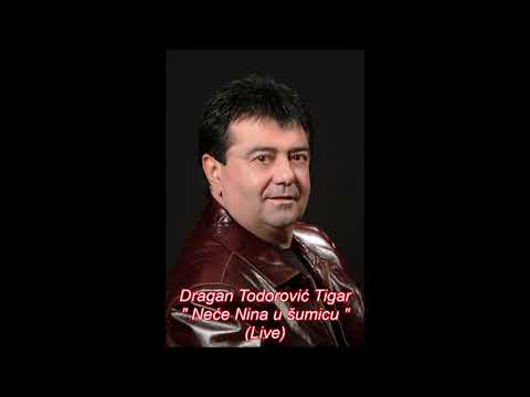 Dragam Todorovic Tigar 2019 - Nece Nina u sumicu Video by vl@dic@m@jurski