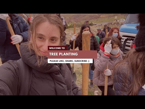 Tree planting in Yeraplur with Birthright Armenia and Armenia Tree project