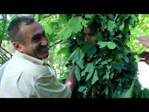 Păpălugăra-Șoimeni Cluj 2019