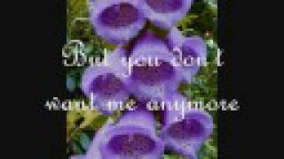 The Garden ~ Mirah {lyrics}