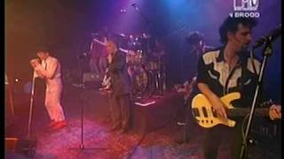 Herman Brood &amp; his Wild Romance: &quot;Pijn&quot;(live Tilburg 1997)