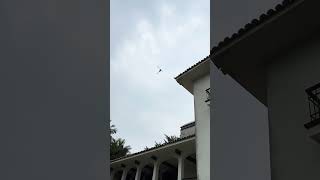 我が家の上空を飛ぶ報道ヘリ