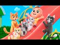 Pussy Cat Pussy Cat Lalafun Nursery Rhymes Kids Songs