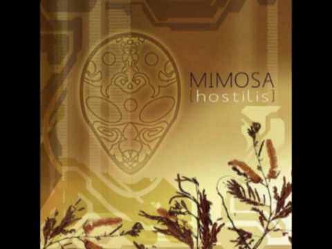 Mimosa - Misconceptions