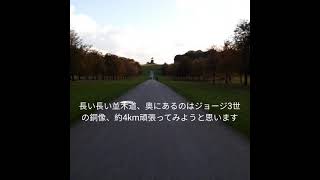 ウインザー城　グレートパークのロングウォークを散歩