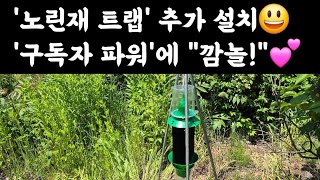 '노린재 트랩' 추가 설치