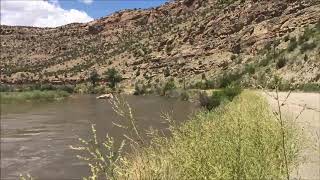 Drive 2016 California to Virginia movie