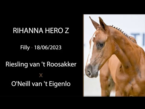 Rihanna Hero Z (Riesling van 't Roosakker x O'Neill van 't Eigenlo)