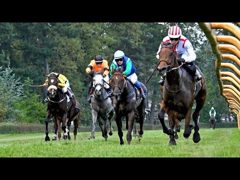 ŽIVĚ 🔴 | dostihy Lysá nad Labem – 28. 9. 2022