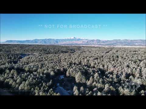 03-09-2023 Black Forest, Colorado - Gorgeous Rime Ice and Pikes Peak View