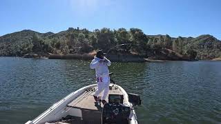 Dranckrazy Slow Shinner