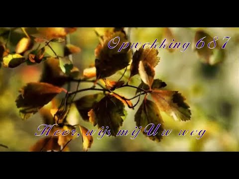 Opwekking 687    Heer, wijs mij Uw weg, met tekst