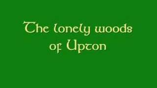 The lonely woods of Upton