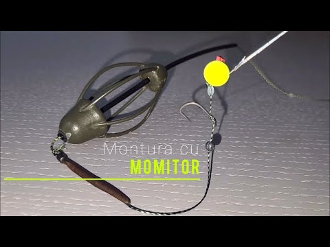 Montura Clasica cu Momitor pentru Crap si Caras