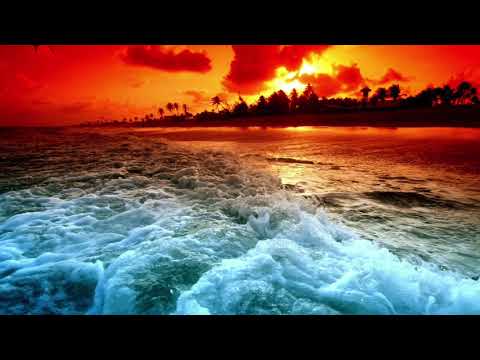 Demi Kanon   Another Day