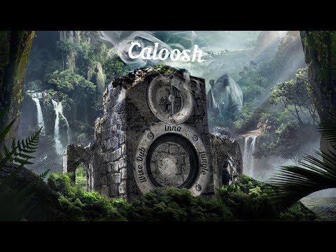 Caloosh - Wise Dub Inna Jungle ( Jungle Dubwise DNB mix 2020 )