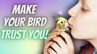 How to Make Your Bird Trust You? | compilation
