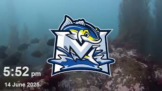 Pecos League Baseball Video