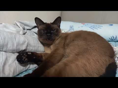 i was not expecting that...